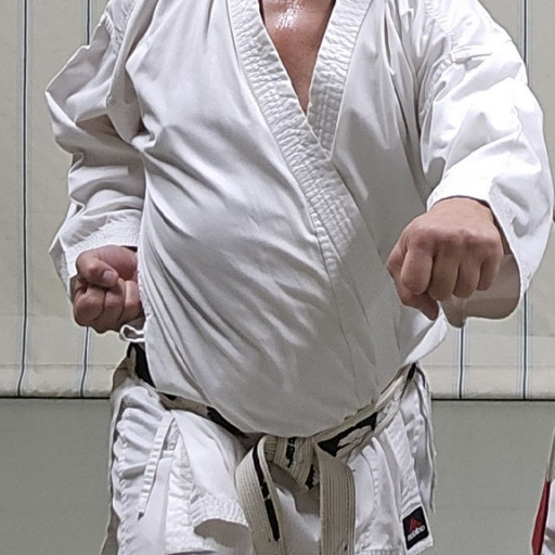 Labbaci 5èm Dan Alexis